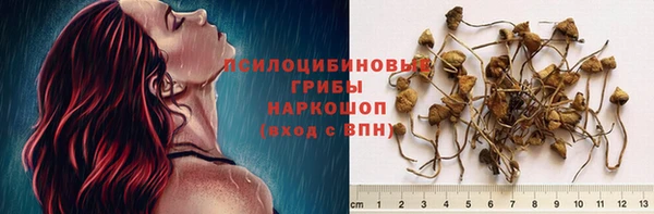 сатива Алексин