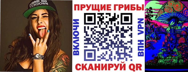 Псилоцибиновые грибы MAGIC MUSHROOMS  площадка формула  Куровское  купить  сайты 